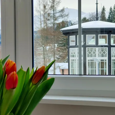 2-poziomowy Uroczy Widok * Карпач